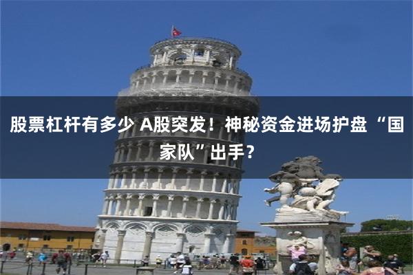 股票杠杆有多少 A股突发！神秘资金进场护盘 “国家队”出手？
