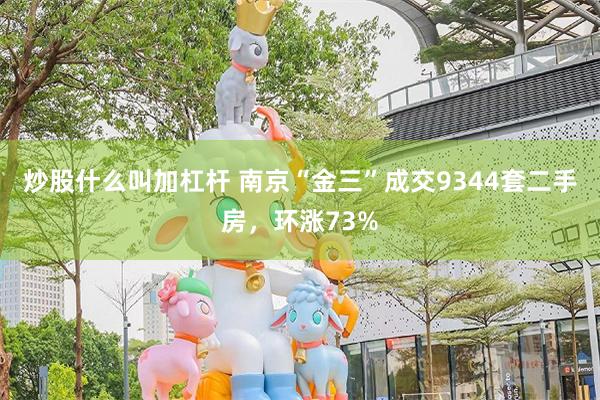 炒股什么叫加杠杆 南京“金三”成交9344套二手房，环涨73%