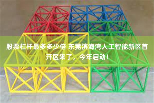 股票杠杆最多多少倍 东莞滨海湾人工智能新区首开区来了，今年启动！