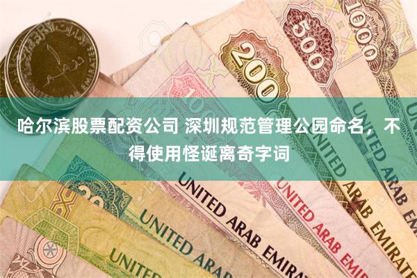 哈尔滨股票配资公司 深圳规范管理公园命名，不得使用怪诞离奇字词