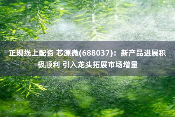 正规线上配资 芯源微(688037)：新产品进展积极顺利 引入龙头拓展市场增量
