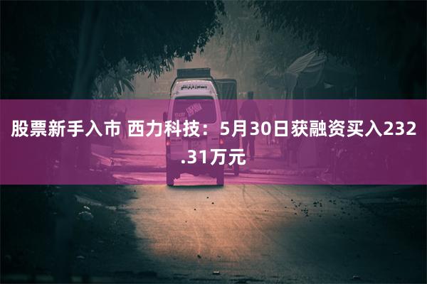 股票新手入市 西力科技：5月30日获融资买入232.31万元