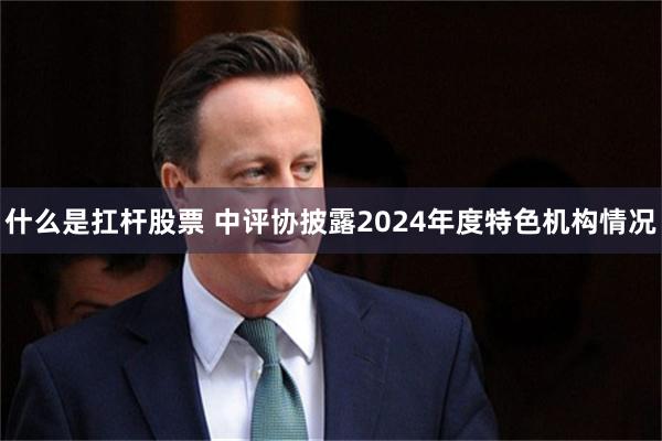 什么是扛杆股票 中评协披露2024年度特色机构情况