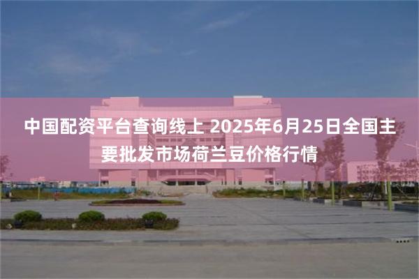 中国配资平台查询线上 2025年6月25日全国主要批发市场荷兰豆价格行情