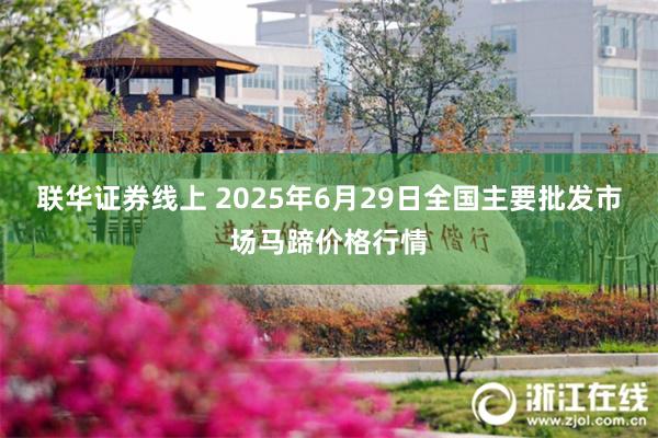 联华证券线上 2025年6月29日全国主要批发市场马蹄价格行情