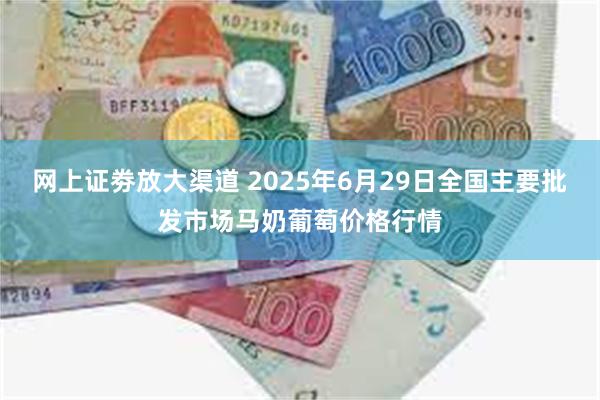 网上证劵放大渠道 2025年6月29日全国主要批发市场马奶葡萄价格行情