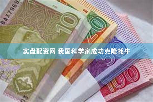 实盘配资网 我国科学家成功克隆牦牛