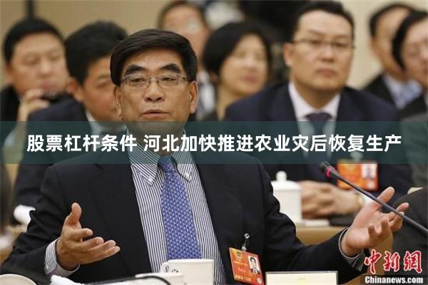 股票杠杆条件 河北加快推进农业灾后恢复生产