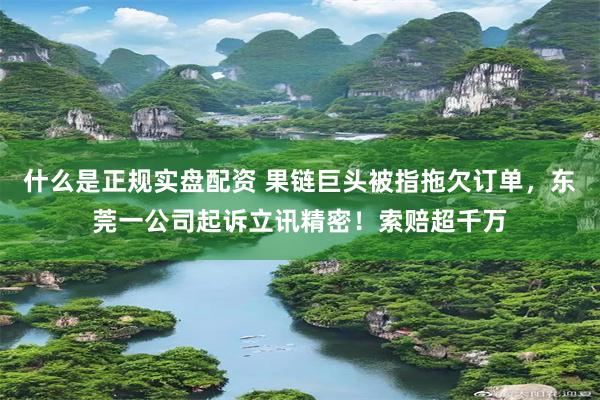 什么是正规实盘配资 果链巨头被指拖欠订单，东莞一公司起诉立讯精密！索赔超千万