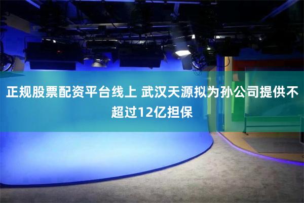 正规股票配资平台线上 武汉天源拟为孙公司提供不超过12亿担保