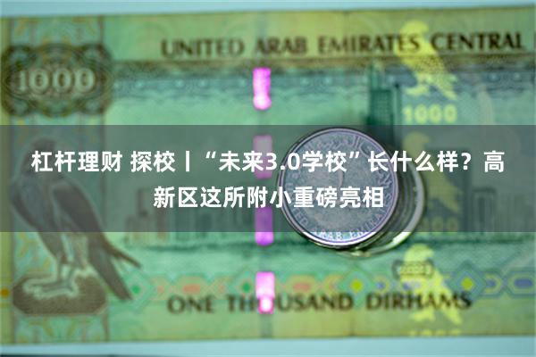 杠杆理财 探校丨“未来3.0学校”长什么样？高新区这所附小重磅亮相