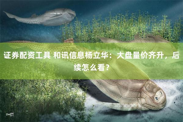 证券配资工具 和讯信息杨立华：大盘量价齐升，后续怎么看？
