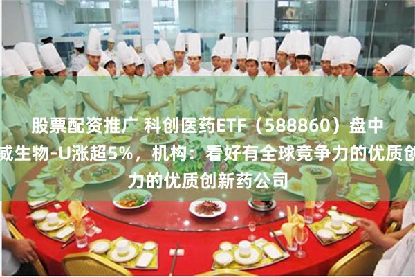 股票配资推广 科创医药ETF（588860）盘中翻红，迈威生物-U涨超5%，机构：看好有全球竞争力的优质创新药公司
