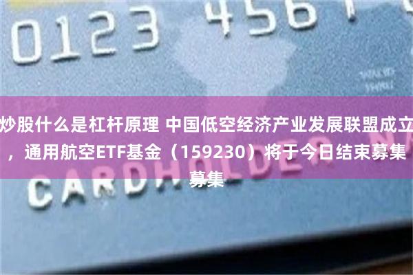 炒股什么是杠杆原理 中国低空经济产业发展联盟成立，通用航空ETF基金（159230）将于今日结束募集