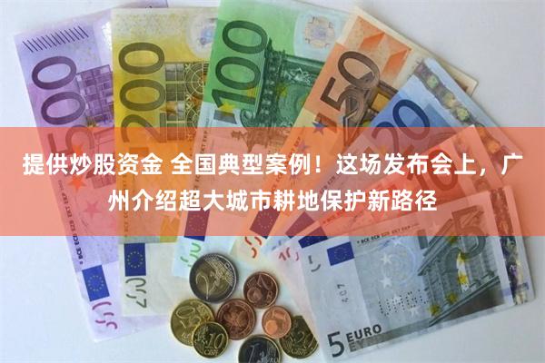 提供炒股资金 全国典型案例！这场发布会上，广州介绍超大城市耕地保护新路径