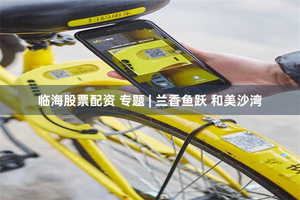 临海股票配资 专题 | 兰香鱼跃 和美沙湾