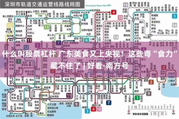 什么叫股票杠杆 广东美食又上央视！这些粤“食力”藏不住了 | 好看·南方号