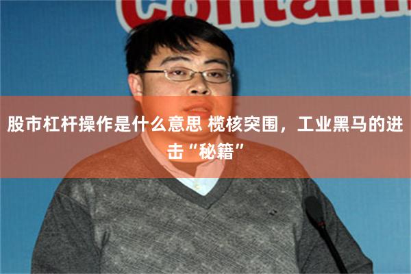 股市杠杆操作是什么意思 榄核突围，工业黑马的进击“秘籍”