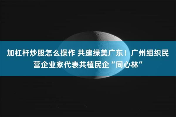 加杠杆炒股怎么操作 共建绿美广东！广州组织民营企业家代表共植民企“同心林”