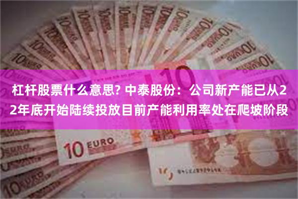 杠杆股票什么意思? 中泰股份：公司新产能已从22年底开始陆续投放目前产能利用率处在爬坡阶段