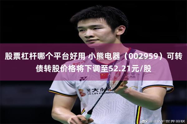 股票杠杆哪个平台好用 小熊电器（002959）可转债转股价格将下调至52.21元/股
