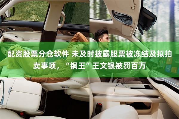 配资股票分仓软件 未及时披露股票被冻结及拟拍卖事项，“铜王”王文银被罚百万