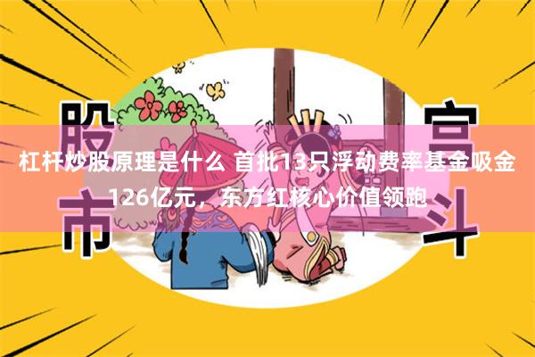 杠杆炒股原理是什么 首批13只浮动费率基金吸金126亿元，东方红核心价值领跑