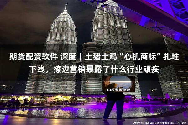 期货配资软件 深度｜土猪土鸡“心机商标”扎堆下线，擦边营销暴露了什么行业顽疾
