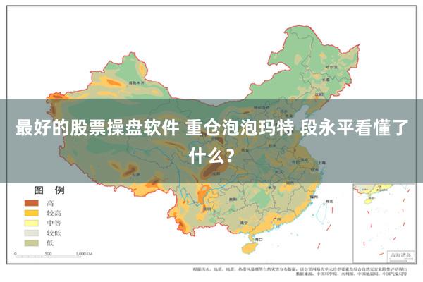 最好的股票操盘软件 重仓泡泡玛特 段永平看懂了什么？