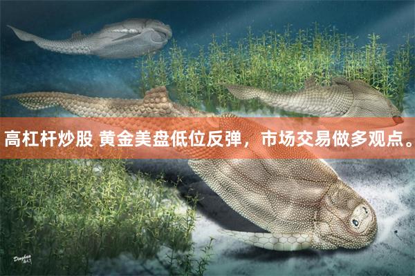 高杠杆炒股 黄金美盘低位反弹，市场交易做多观点。