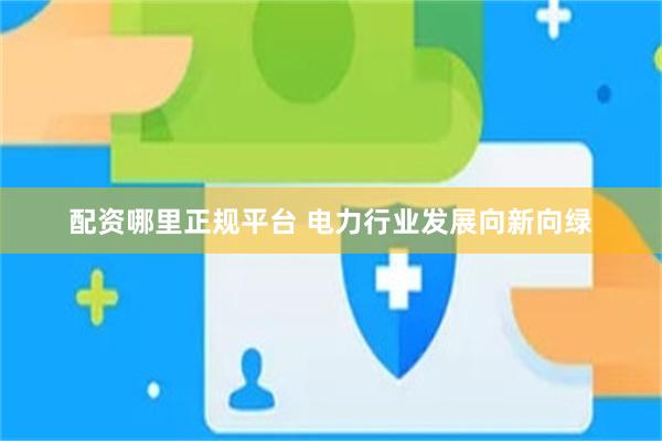 配资哪里正规平台 电力行业发展向新向绿