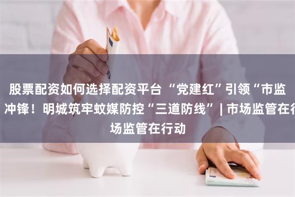 股票配资如何选择配资平台 “党建红”引领“市监蓝”冲锋!明城筑牢蚊媒防控“三道防线” | 市场监管在行动