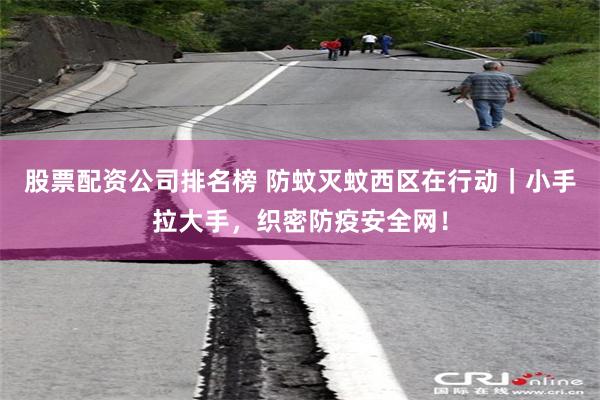 股票配资公司排名榜 防蚊灭蚊西区在行动｜小手拉大手，织密防疫安全网！