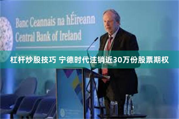 杠杆炒股技巧 宁德时代注销近30万份股票期权