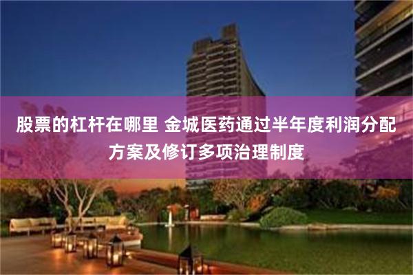 股票的杠杆在哪里 金城医药通过半年度利润分配方案及修订多项治理制度