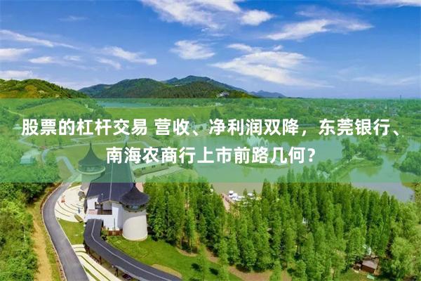 股票的杠杆交易 营收、净利润双降，东莞银行、南海农商行上市前路几何？