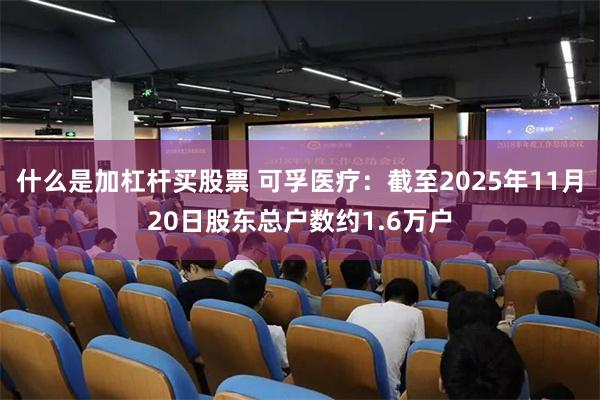 什么是加杠杆买股票 可孚医疗：截至2025年11月20日股东总户数约1.6万户