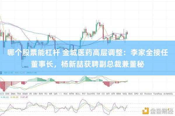 哪个股票能杠杆 金城医药高层调整：李家全接任董事长，杨新喆获聘副总裁兼董秘