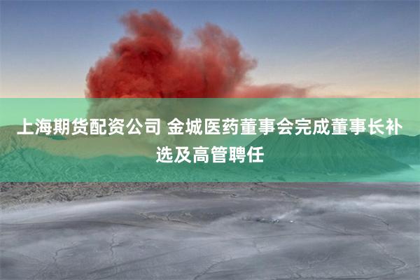 上海期货配资公司 金城医药董事会完成董事长补选及高管聘任