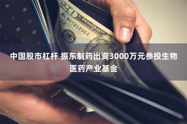 中国股市杠杆 振东制药出资3000万元参投生物医药产业基金