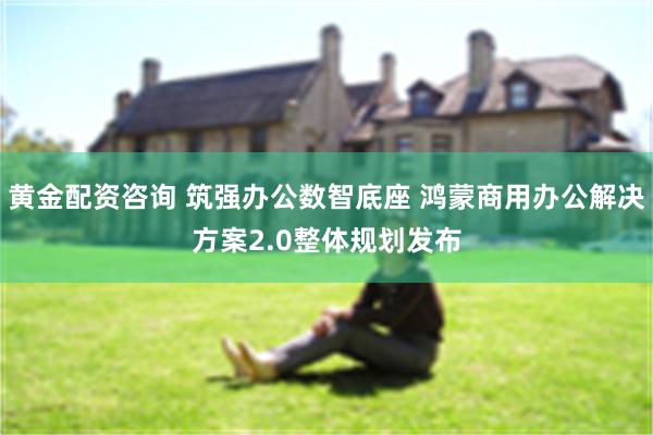 黄金配资咨询 筑强办公数智底座 鸿蒙商用办公解决方案2.0整体规划发布