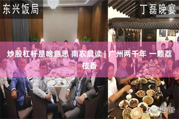 炒股杠杆是啥意思 南农晨读 | 广州两千年 一颗荔枝香