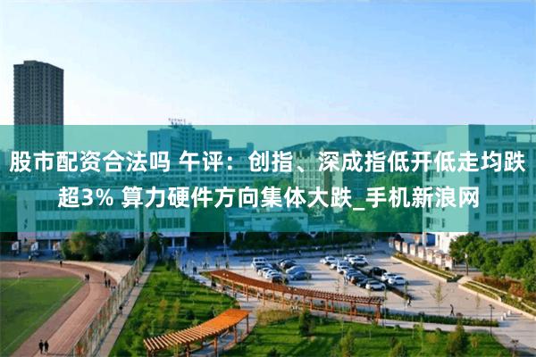股市配资合法吗 午评：创指、深成指低开低走均跌超3% 算力硬件方向集体大跌_手机新浪网