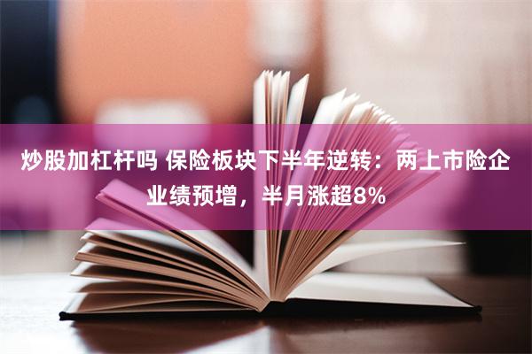 炒股加杠杆吗 保险板块下半年逆转：两上市险企业绩预增，半月涨超8%