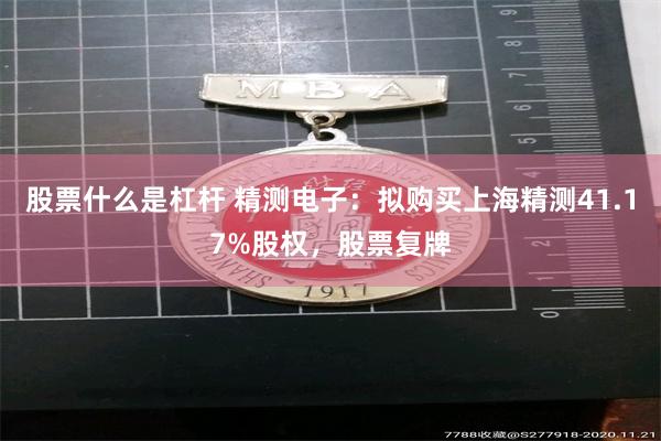 股票什么是杠杆 精测电子：拟购买上海精测41.17%股权，股票复牌