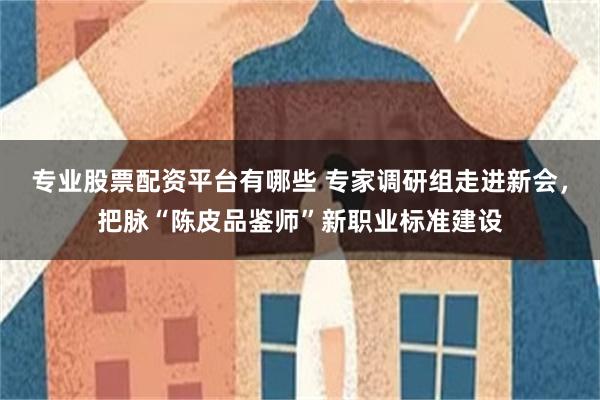 专业股票配资平台有哪些 专家调研组走进新会，把脉“陈皮品鉴师”新职业标准建设