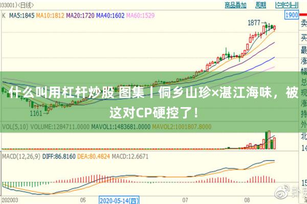 什么叫用杠杆炒股 图集丨侗乡山珍×湛江海味，被这对CP硬控了！