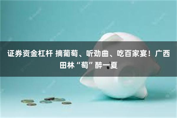 证券资金杠杆 摘葡萄、听劲曲、吃百家宴！广西田林“萄”醉一夏
