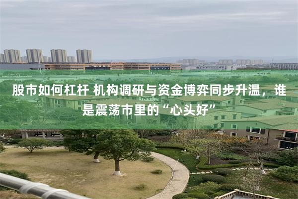 股市如何杠杆 机构调研与资金博弈同步升温，谁是震荡市里的“心头好”