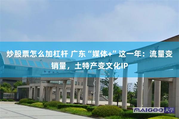 炒股票怎么加杠杆 广东“媒体+”这一年：流量变销量，土特产变文化IP